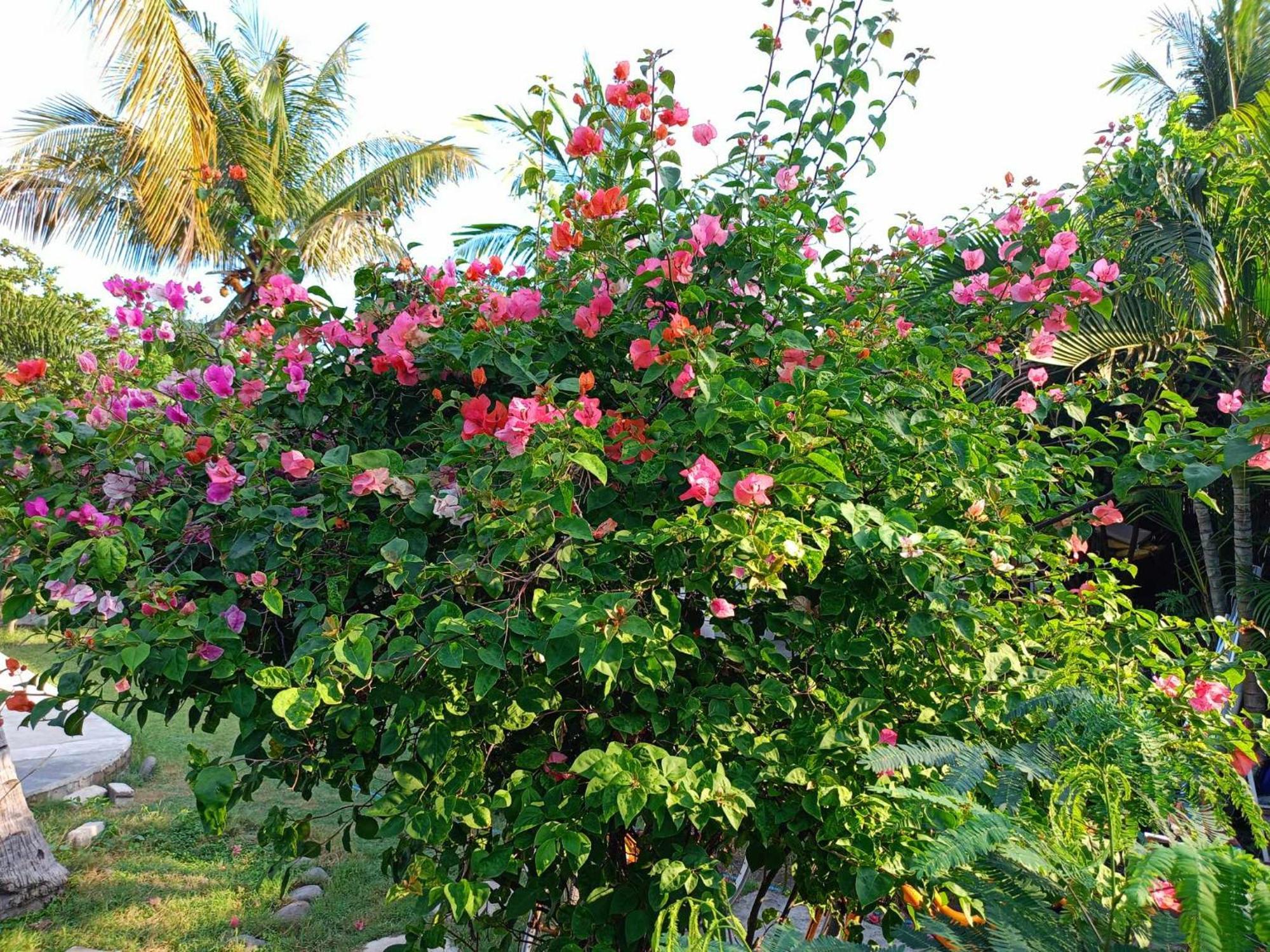 Bintang Tiga Bungalows Gili Air Ngoại thất bức ảnh